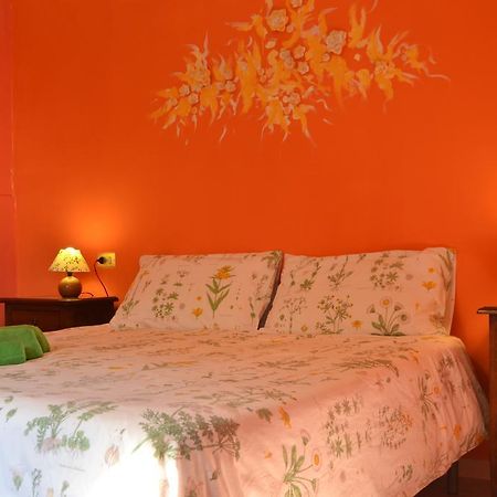 Agriturismo Nizzi Villa Асизи Екстериор снимка
