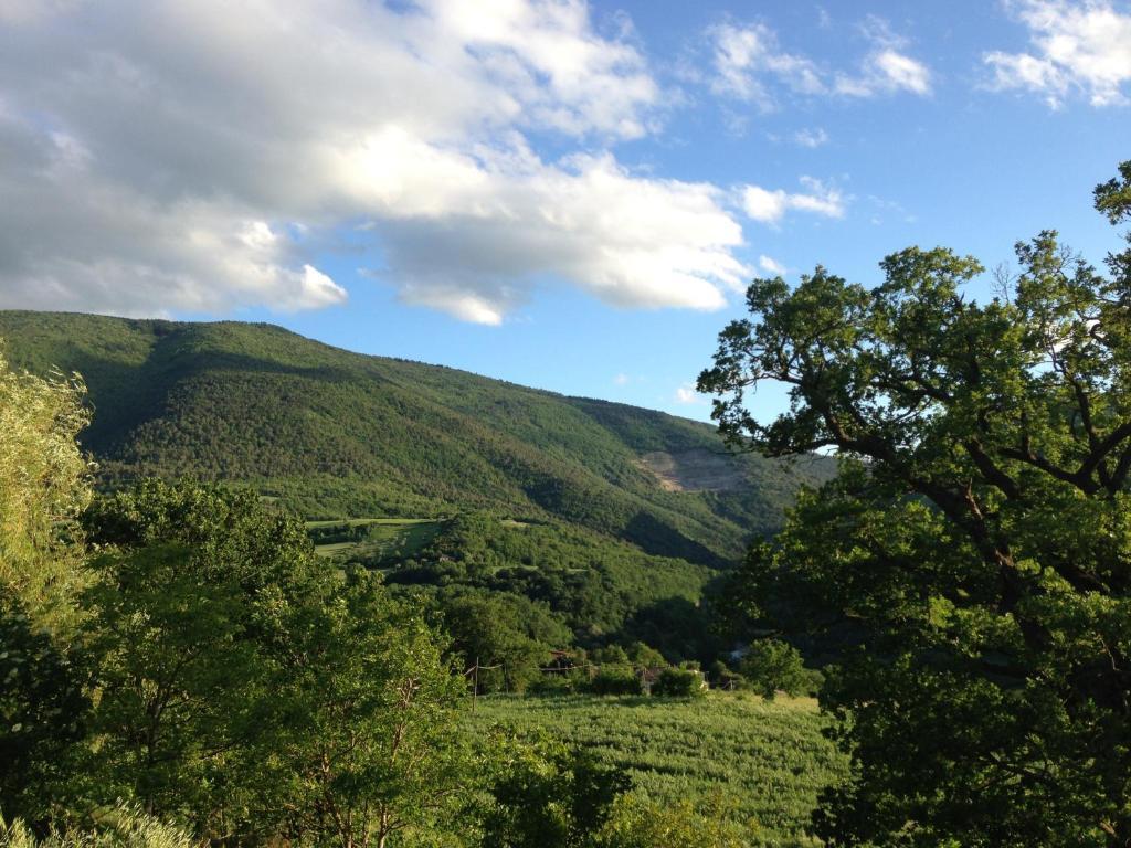 Agriturismo Nizzi Villa Асизи Екстериор снимка